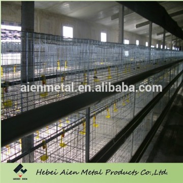 automatic layer baby chick cage