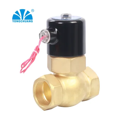 Yongchuang 2L Brass Stainless Steel Piston Steam High Temperature Solenoid Valve: HS Code 8481804090