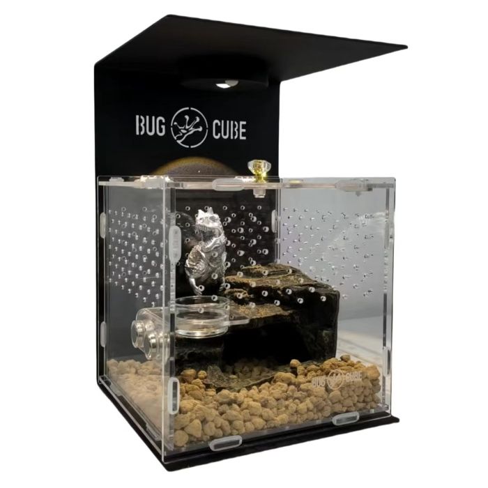 Caixa de criação de acrílico de tamanho personalizável para répteis