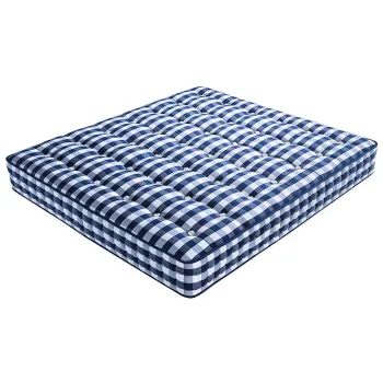 Curly Horse Hair Mattress Pad Wool Horse Hair Mattress" 

However, to make it more concise and SEO-friendly, you might consider:

"Horse Hair Mattress Pad with Wool