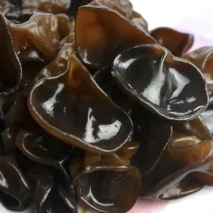 Finc fresh Culture black fungus mushroom