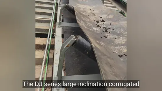 Customized Belt Conveyors for Power, Metallurgy, Chemical, and Mining Industries