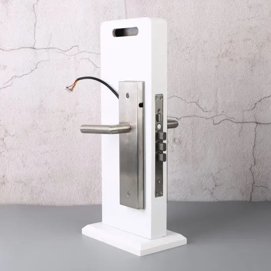 Remote Control Real-time Monitoring Smart Door Lock