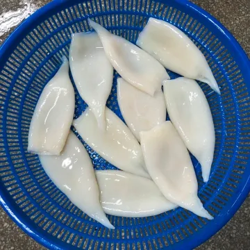 Frozen Pacific Squid Tube U10 Iqf For Importer