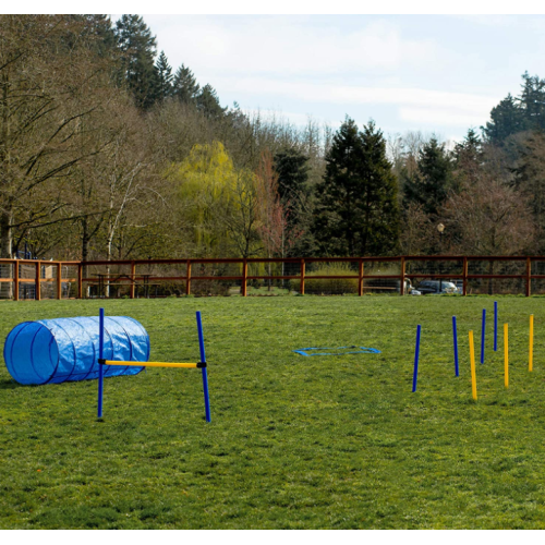 Cours d&#39;obstacle de chien 28 pièces pour la formation