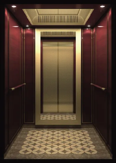 Luxury Design Passenger Elevator for Commercial Building