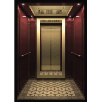 Ascenseur de passager de conception de luxe pour le bâtiment commercial