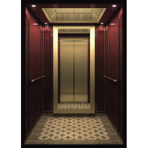 Luxury Design Passenger Elevator for Commercial Building