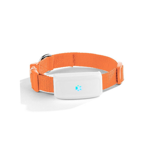 GSM GPRS Cat and Cow GPS Tracker