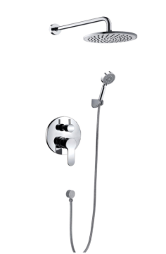 Concealed Dual Function Shower Mixer