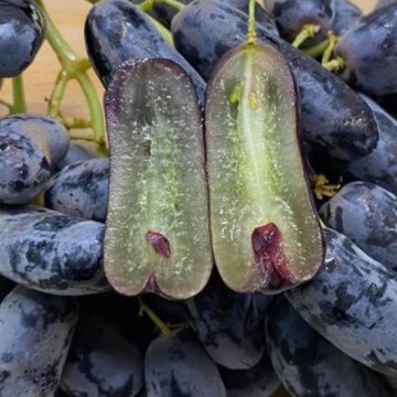 Uvas pretas sem sementes em formato de dedo