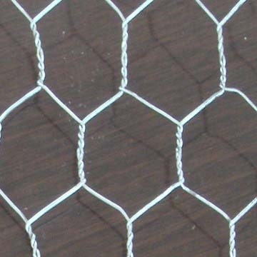 low price hexagonal Wire Mesh