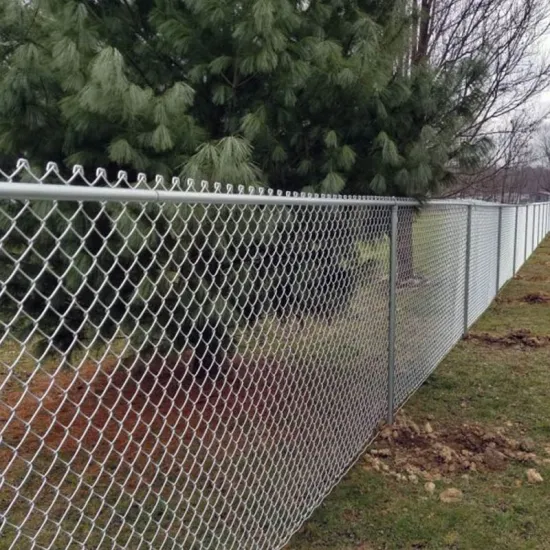 Hot DIP Galvanized Chain Link Fence 9 Gauge 50*50mm 6FT PVC Coated Diamond Wire Mesh