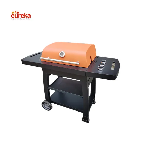 Outdoor BBQ Kitchen Outdoor Cooking Barbecue Gas Grill