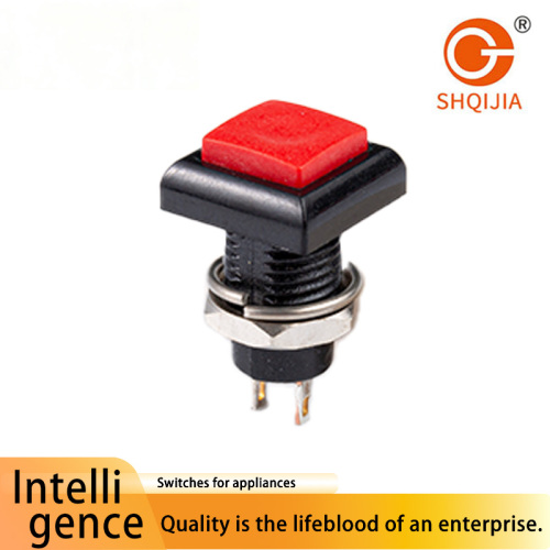 SHQIJIA P10 11 interruptor de botón pequeño