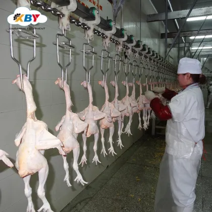 Halal Poultry Slaughtering Equipment and Abattoirs