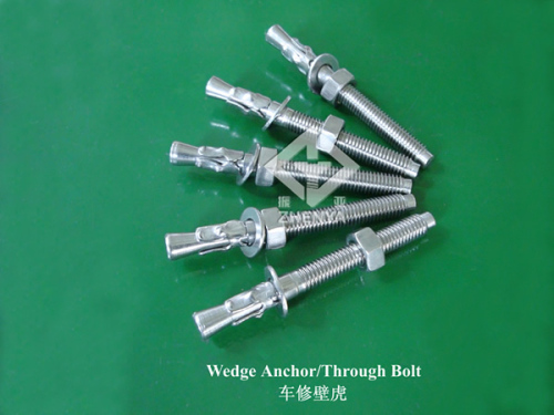 Wedge Anchor/Through Bolt