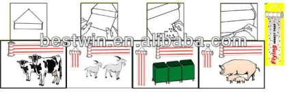 giant fly glue trap,fly glue paper trap