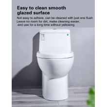 The application of toilet in modern life