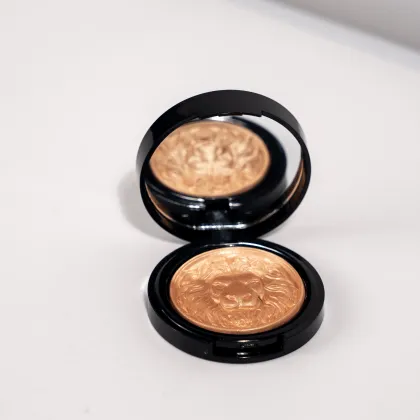 Lonely Animal Shape Powder Highlighter