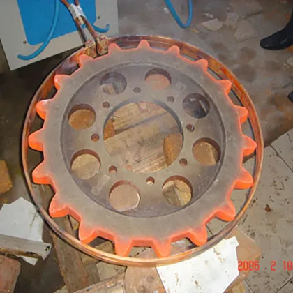 Screw Induction Through Heating Equipment