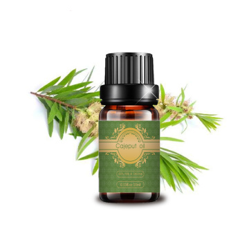 Organic Certified Cajeput Essential Oil for bulk purchase