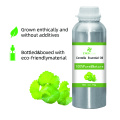 Centella एशियाटिक आवश्यक तेल की गुणवत्ता 100% शुद्ध तेल गोटू कोला अर्क कार्बनिक प्राकृतिक त्वचा देखभाल शरीर मालिश तेल अरोमाथेरेपी