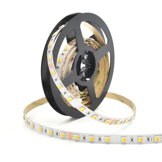 High Lumen SMD5050 Dual White 2 In 1 LED Strip - IP20/IP65/IP67, CRI90, 3000K/6000K, DC24V