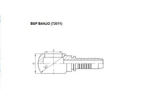 Raccordi Banjo BSP 72011