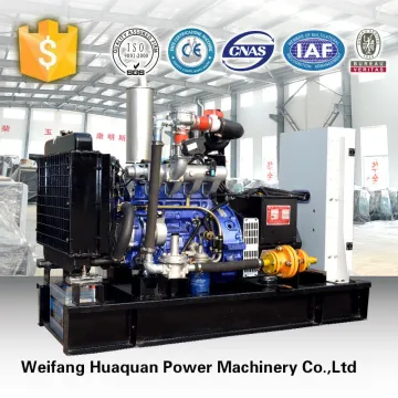 Fuel less clean power weifang biogas plant