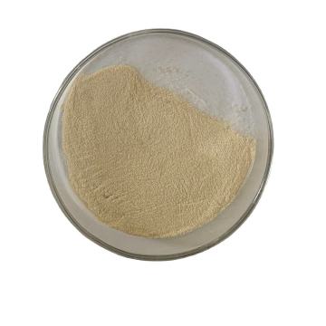 High Quality pancreatic enzyme supplements Food additives