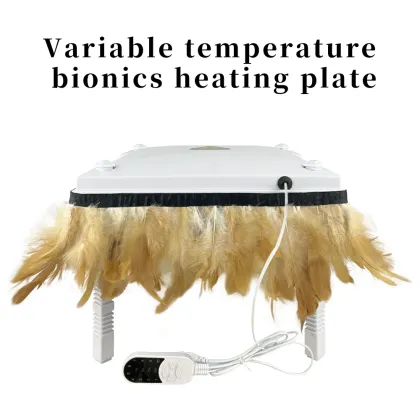 Adjustable Height Variable Temperature Bionics Heating Plate for Chick Brooding