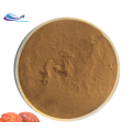 supply Freeze dried Aloe vera extract powder