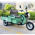 Green manned and cargo tricycle