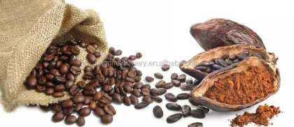 Coffee Bean and Cacao Processing Machines
