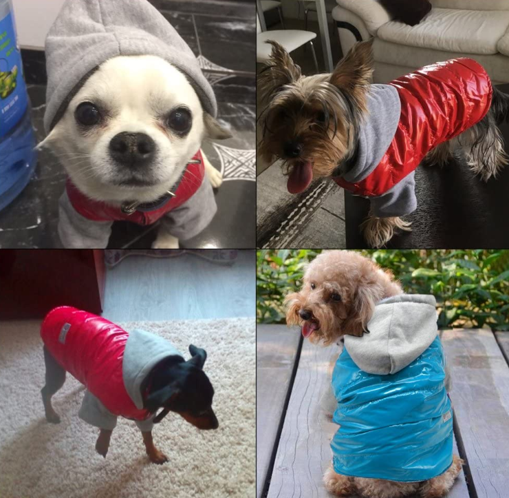 Dog Cold Weather Coat