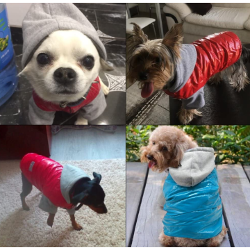 Dog Cold Weather Coat