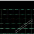 Green Coated Welded Holland Wire Mesh