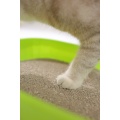 2.0mm লেবু সুগন্ধি সক্রিয় চারকোল Bentonite বিড়াল লিটার