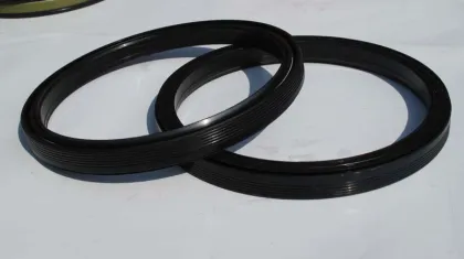 NBR Viton Oil Seal FKM Oil Seal