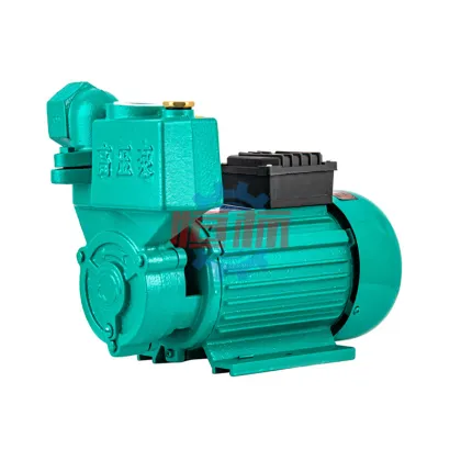ZDB Series 1/2 HP Small Electric Peripheral Self-Priming Pump