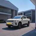 Geely Riddara RD6 ECON