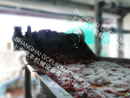 brush type washing machines