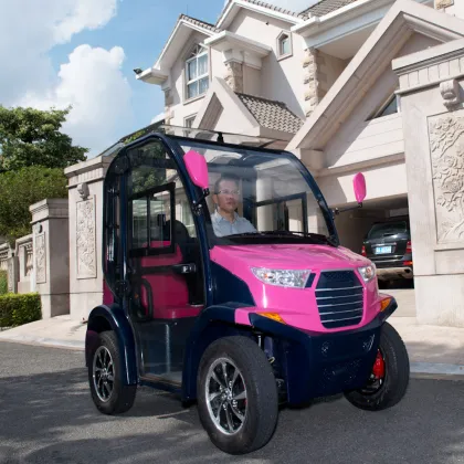 LVTONG 2 Seater Low Speed Electric Vehicle with Closed Doors