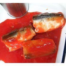 Sardinha em lata barata de alta qualidade no tomate