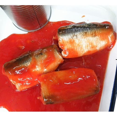 Hochwertige billige Sardine in Dosen in Tomaten