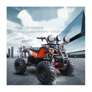 Electric ATV and Beach Bike Rental with Differential Shaft Transmission