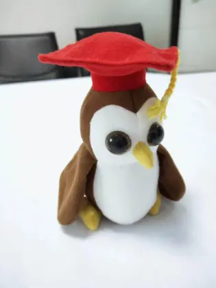 Doctor Plush Bird Toys