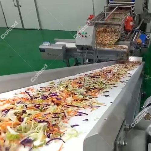 Procesamiento de ensaladas de vegetales Línea automática