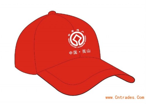 Company Cap, Company Hat, Logo Baseball Cap, Baseball Cap